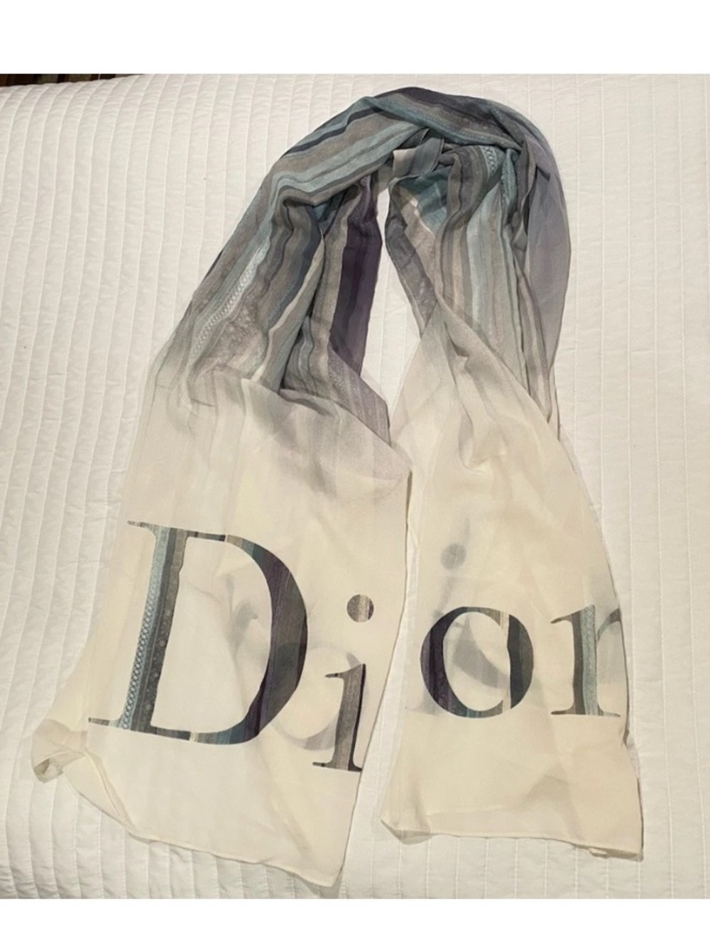 Christian Dior logo gauzy scarf